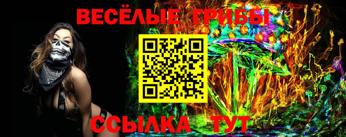 ГАШ Майкоп