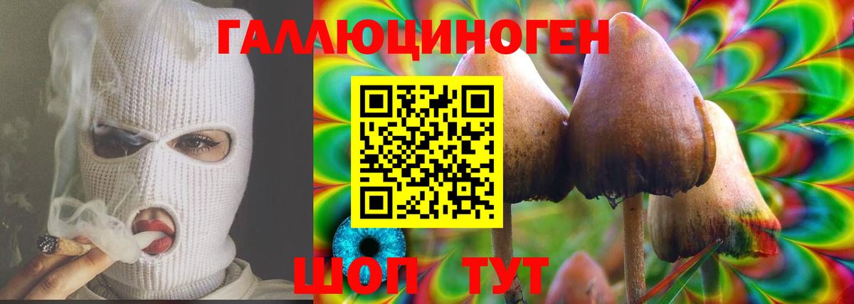 Галлюциногенные грибы Magic Shrooms  Вход с VPN  Майкоп  Галлюциногенные грибы мицелий 