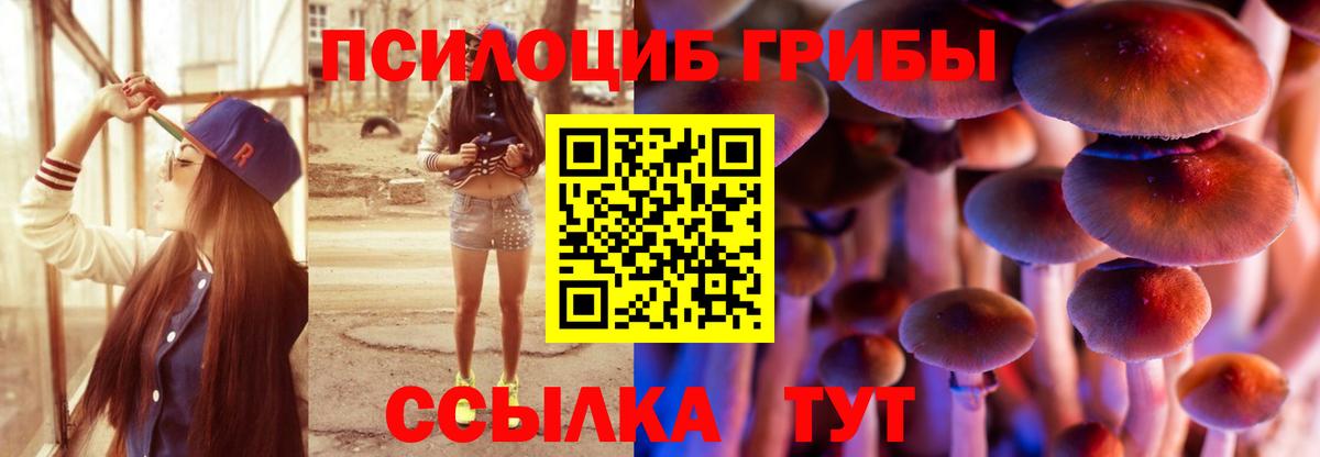 Галлюциногенные грибы мухоморы Майкоп